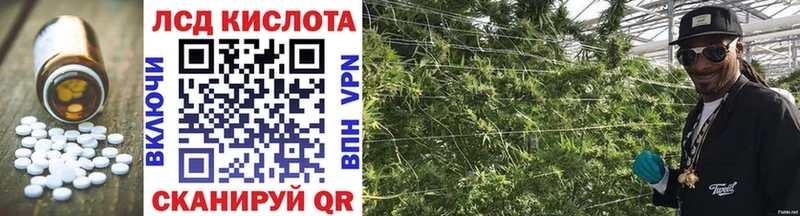 продажа наркотиков  Анадырь  ЛСД экстази кислота 