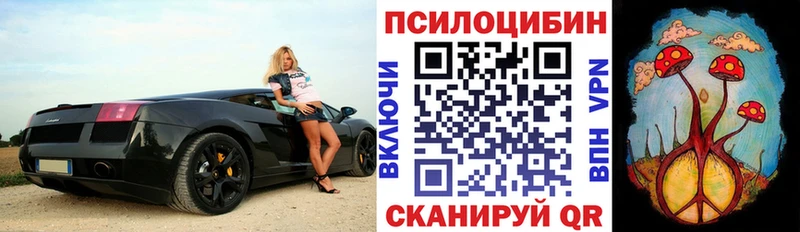 где можно купить наркотик  дарк нет состав  Галлюциногенные грибы MAGIC MUSHROOMS  Анадырь 